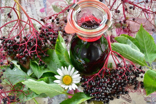 Elderberry Juice and Flowers