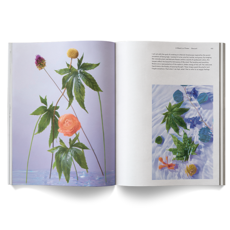 Broccoli 'A Weed is a Flower' Hardback Book