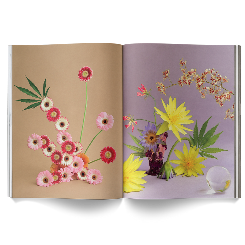 Broccoli 'A Weed is a Flower' Hardback Book