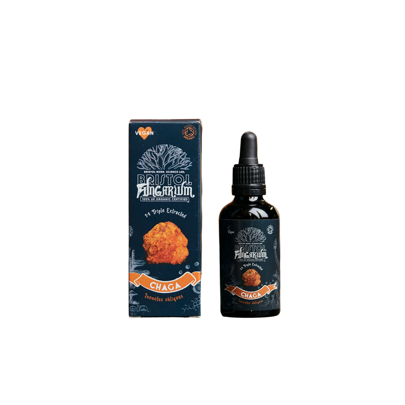 Bristol Fungarium Chaga Tincture