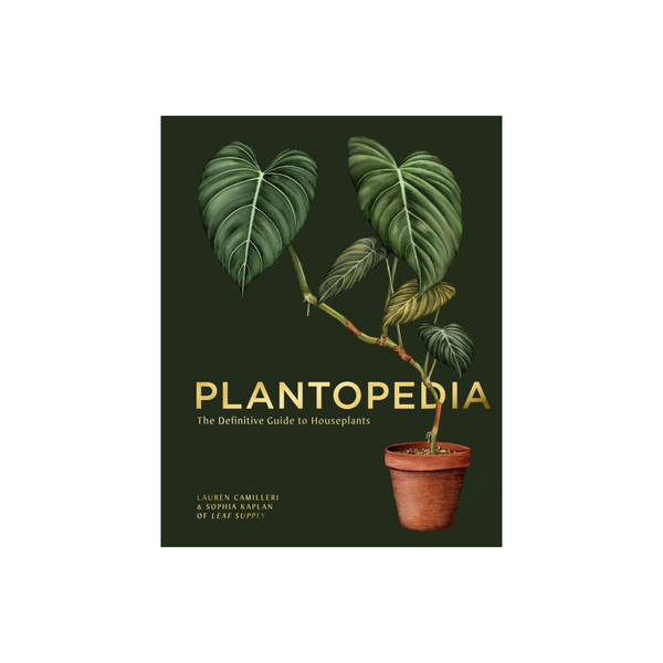 Plantopedia: The Definitive Guide to Houseplants