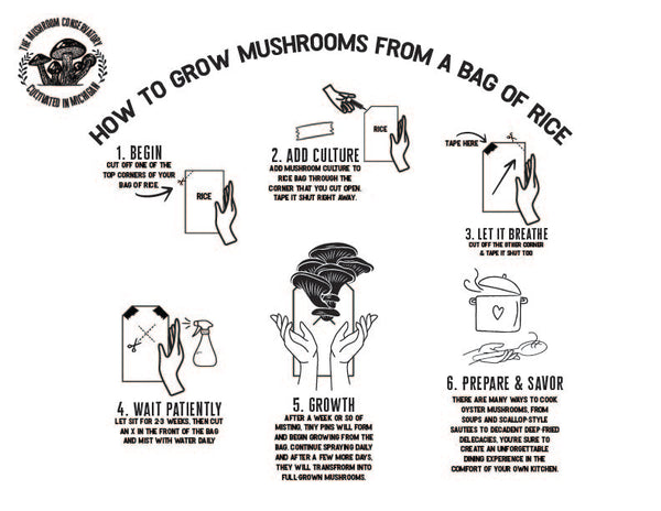How to grow your mushrooms guide